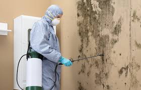 Why You Should Choose Our Mold Remediation Services in Isle Of Palms, SC